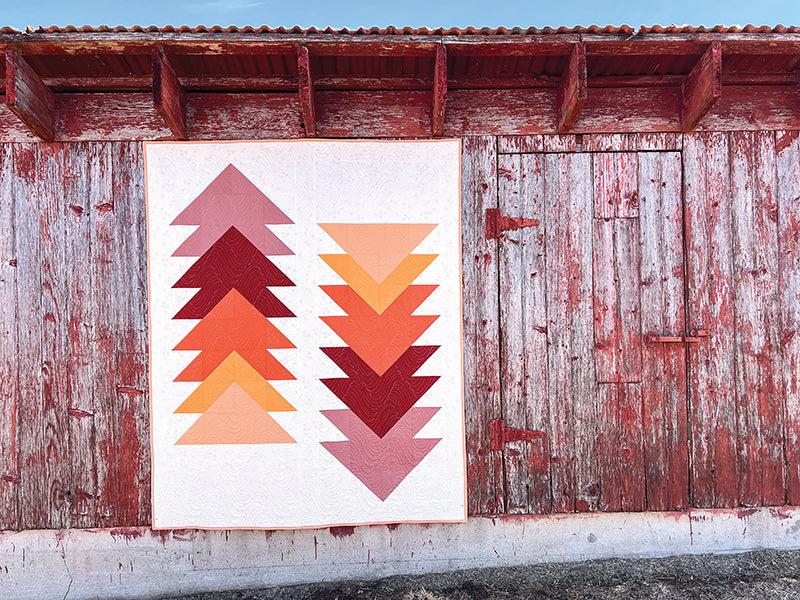 Cozy Quilts for the Modern Home