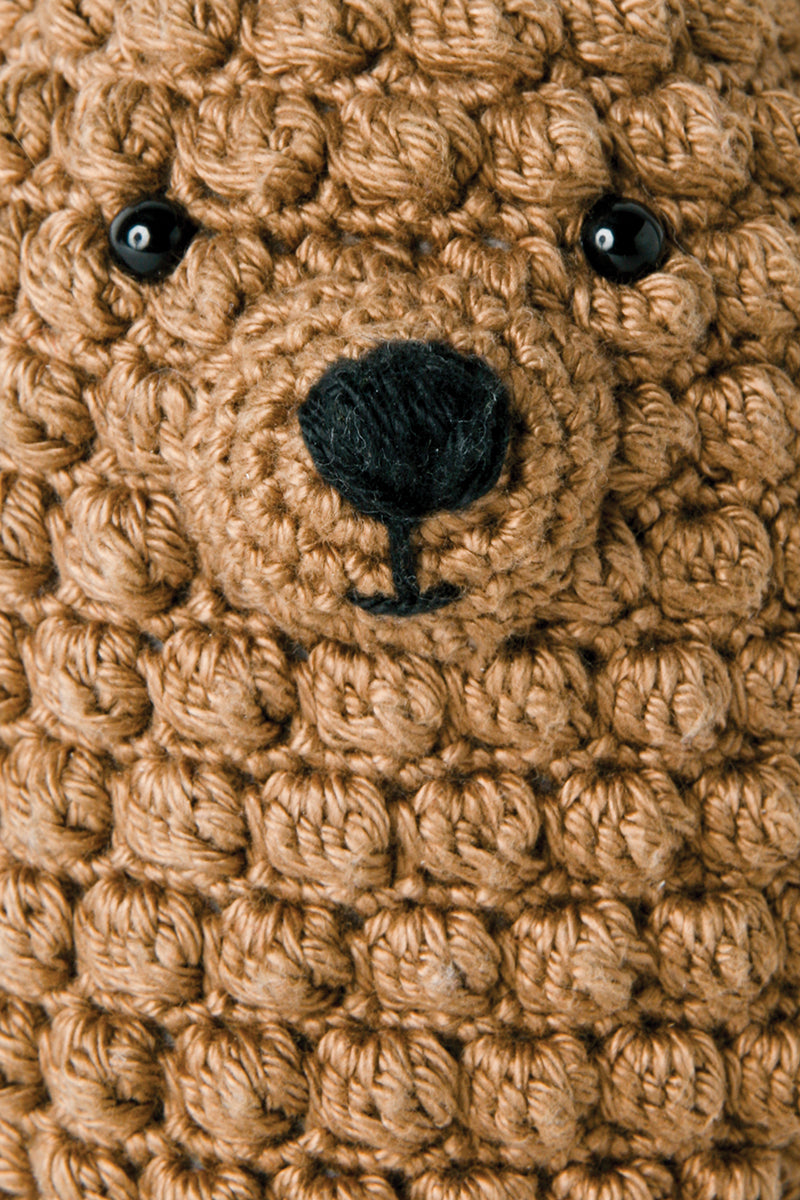 21 Days to Learn to Crochet Amigurumi