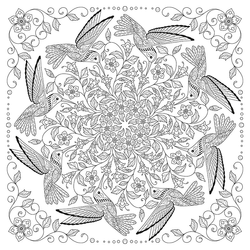 My Bird Mandala Coloring Book