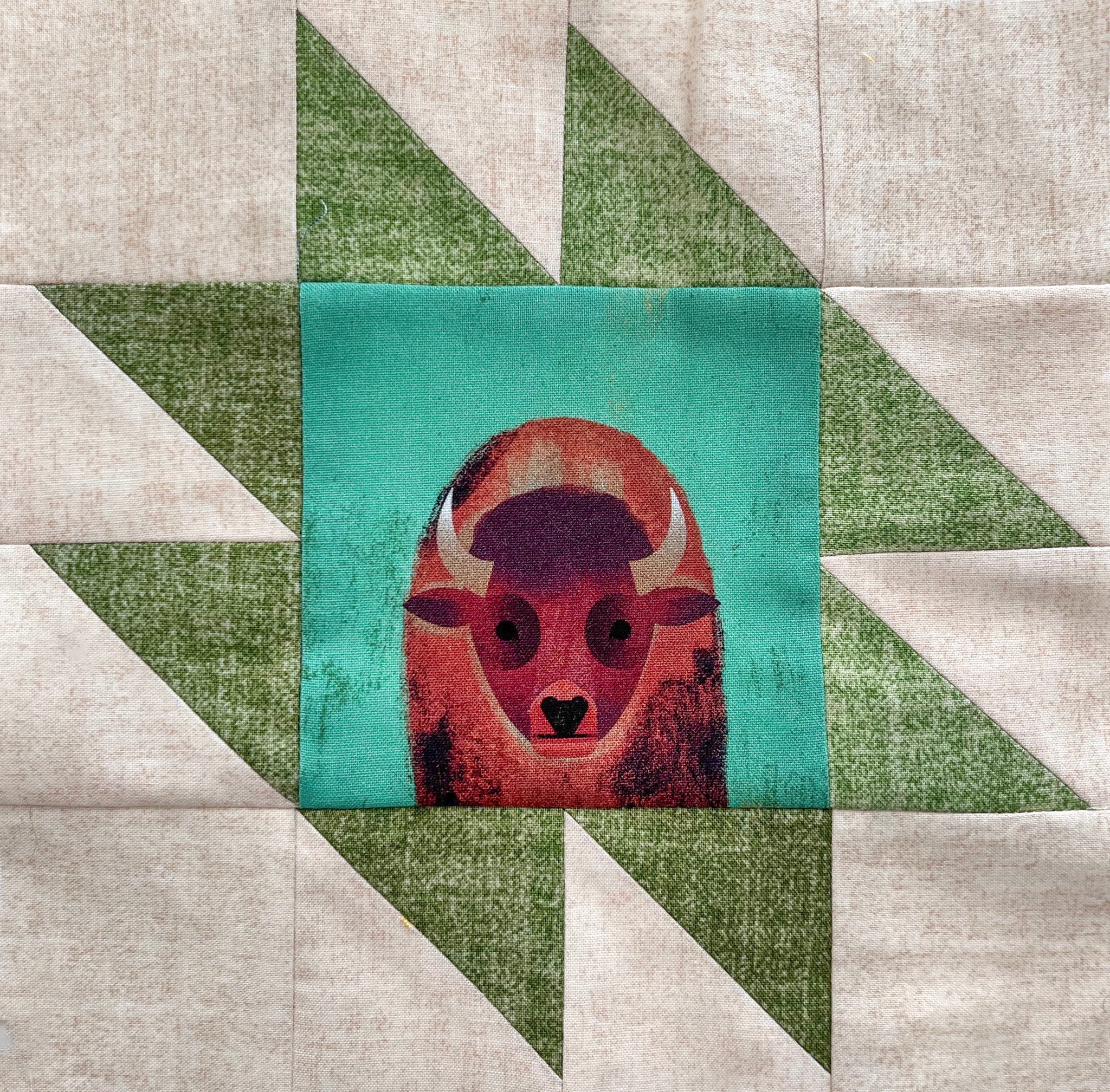 Wild for Panel Quilts – C&T Publishing