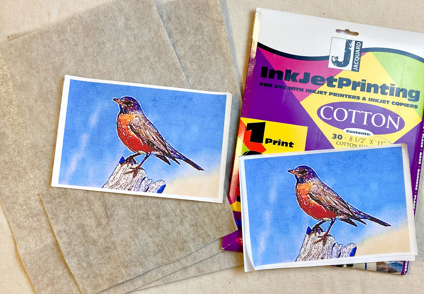 Fabric Collage Fun: Backyard Bird Edition