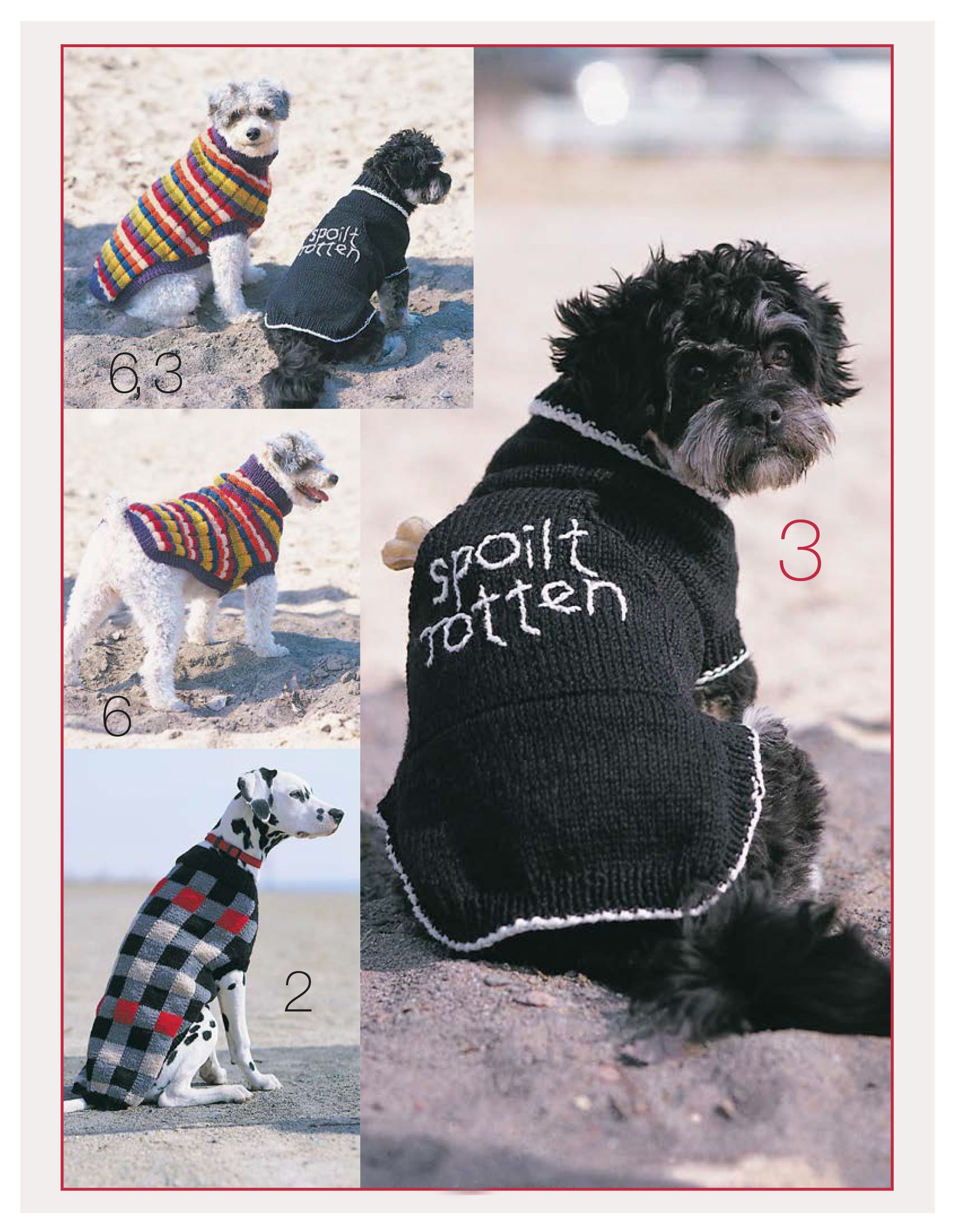 A collage of four dogs on sand, each in distinctive knit sweaters from Leisure Arts' "Dog Gone Cute—6 Knit Projects for Your Furry Friends," featuring patterns like stripes, checks, and a black "spoilt rotten" design in red, yellow, grey, black, and white.