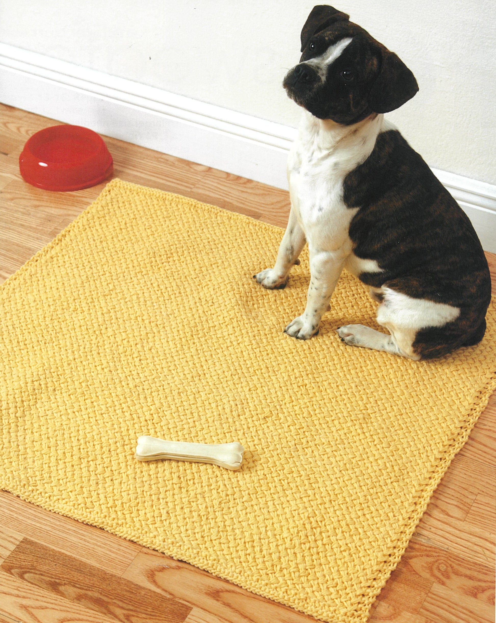 A small black and white dog sits on a yellow mat with a bone toy and red water bowl—a cozy scene for beginner knitters inspired by Knit Along with Debbie Macomber—A Charity Guide for Knitters from Leisure Arts.