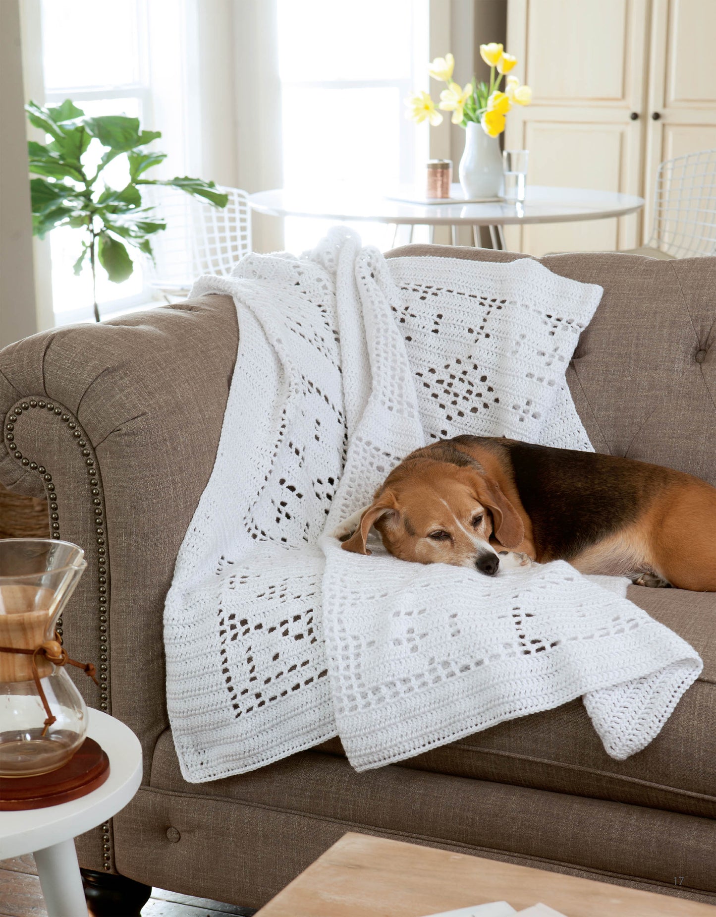 A brown and black dog lies on a gray sofa with an Easy Afghans Digital Download blanket by Leisure Arts in a cozy, sunlit living room filled with plants and a vase of yellow flowers on the table in the background.