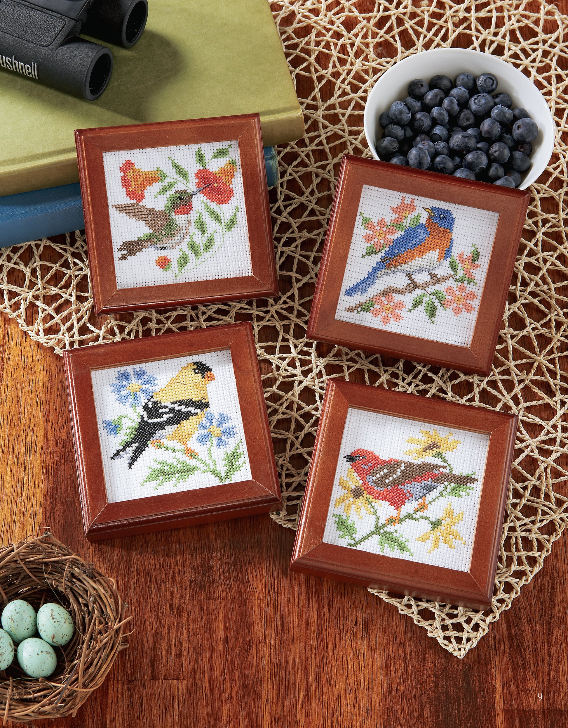 Four framed Birds of A Feather Cross Stitch designs by Leisure Arts are displayed on a wooden table with a bowl of blueberries, binoculars, stacked books, a small nest with eggs, and a decorative net for a charming, nature-inspired look.