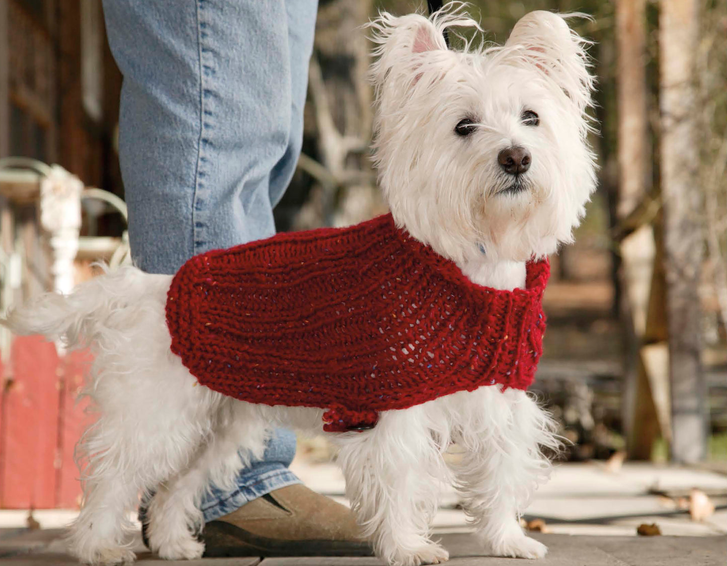 A small white dog wears a red sweater from Cozy Knits Made with the Knook by Leisure Arts, standing beside a person in blue jeans and brown shoes on an outdoor porch.