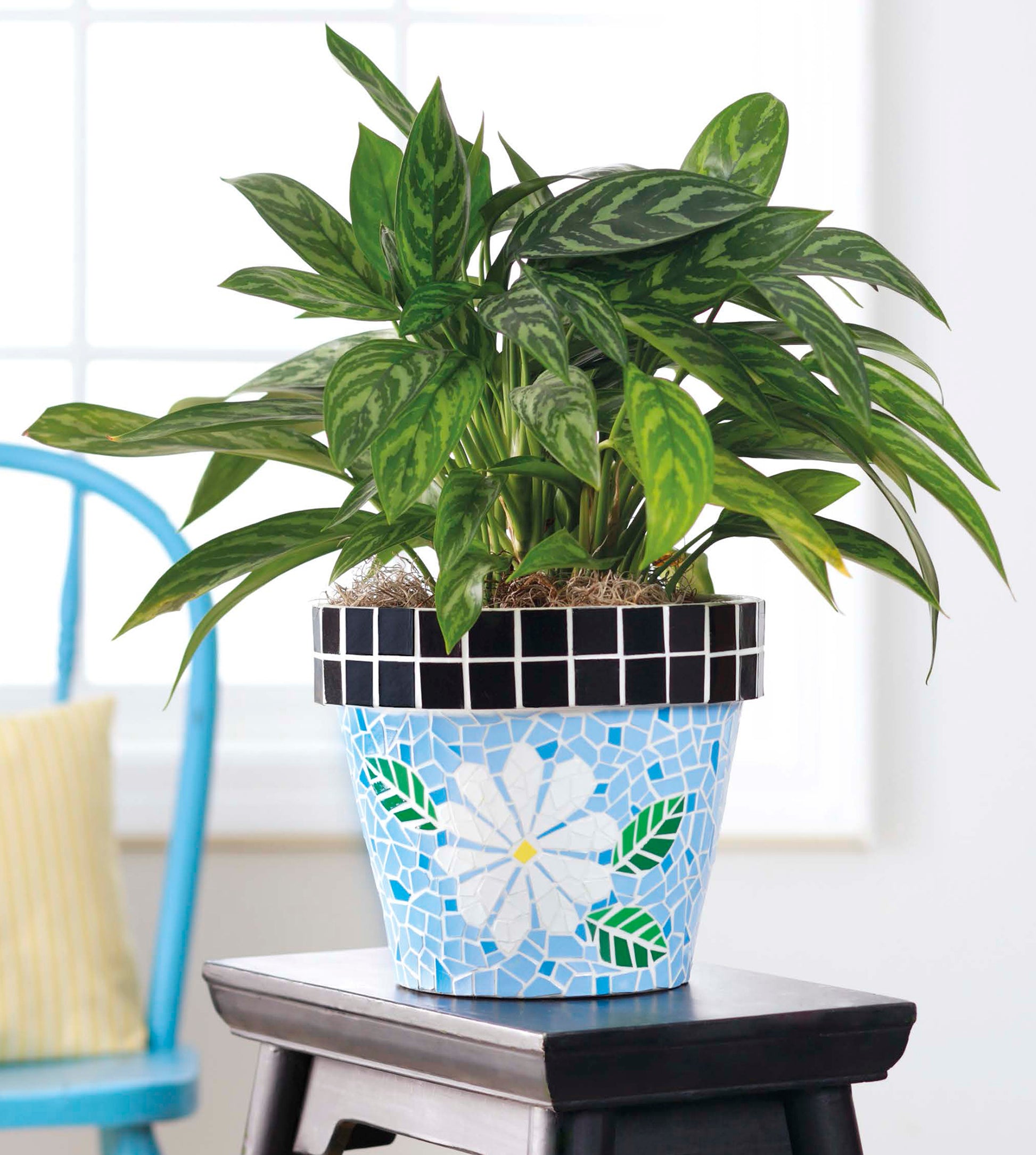 Brighten your home decor with the Beginner’s Guide to Faux Mosaics by Leisure Arts. Featuring a leafy green plant in a blue flower-patterned mosaic pot, this charming display rests on a black stool and highlights the unique faux mosaic craft techniques from the guide. In the softly blurred background, a blue chair and a yellow pillow add cozy, colorful accents.