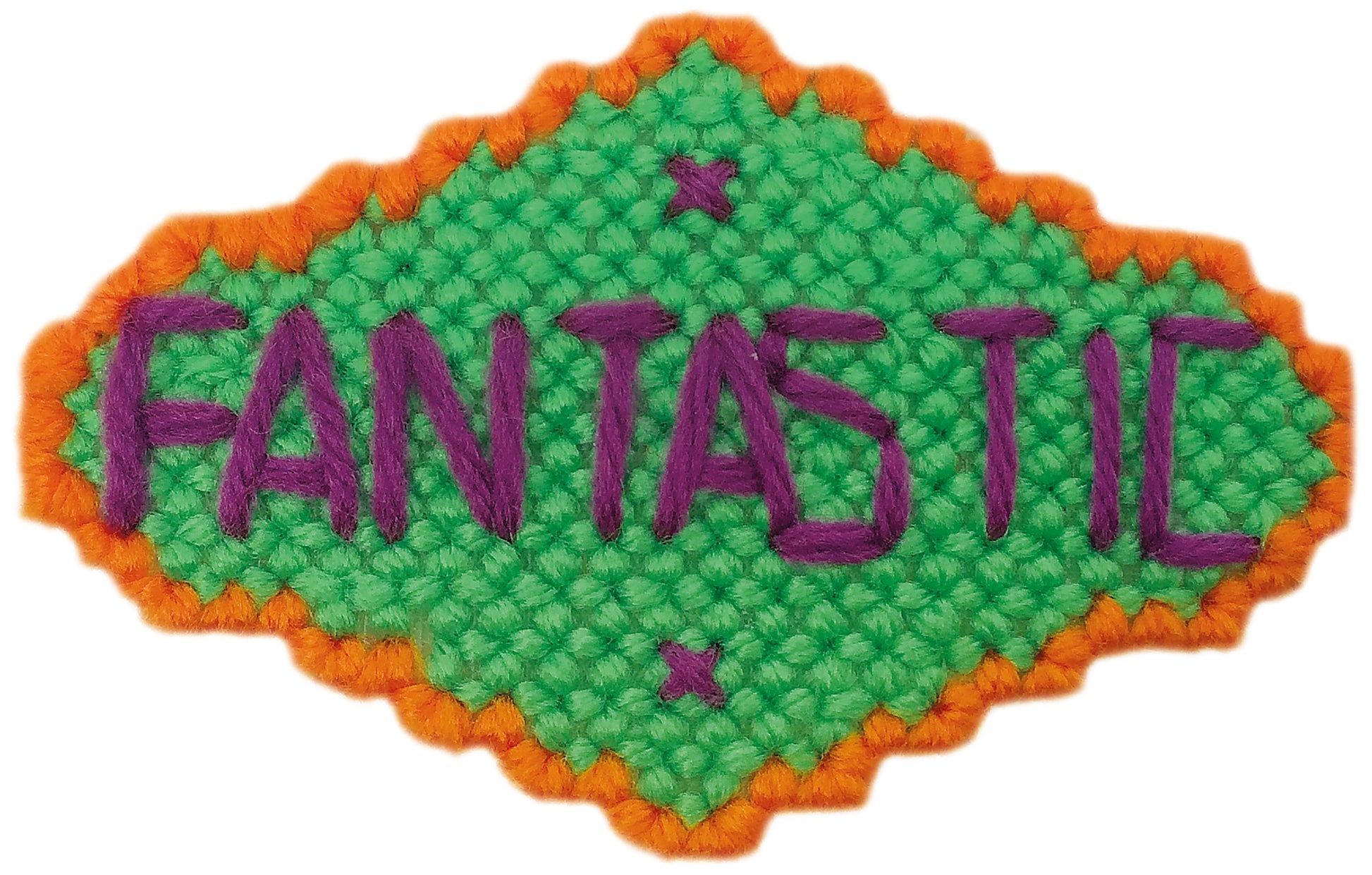 Add a fun touch to your decor with Show Off Magnets in Plastic Canvas by Leisure Arts—colorful designs perfect for blue ribbon kids, family photos, or event invitations.