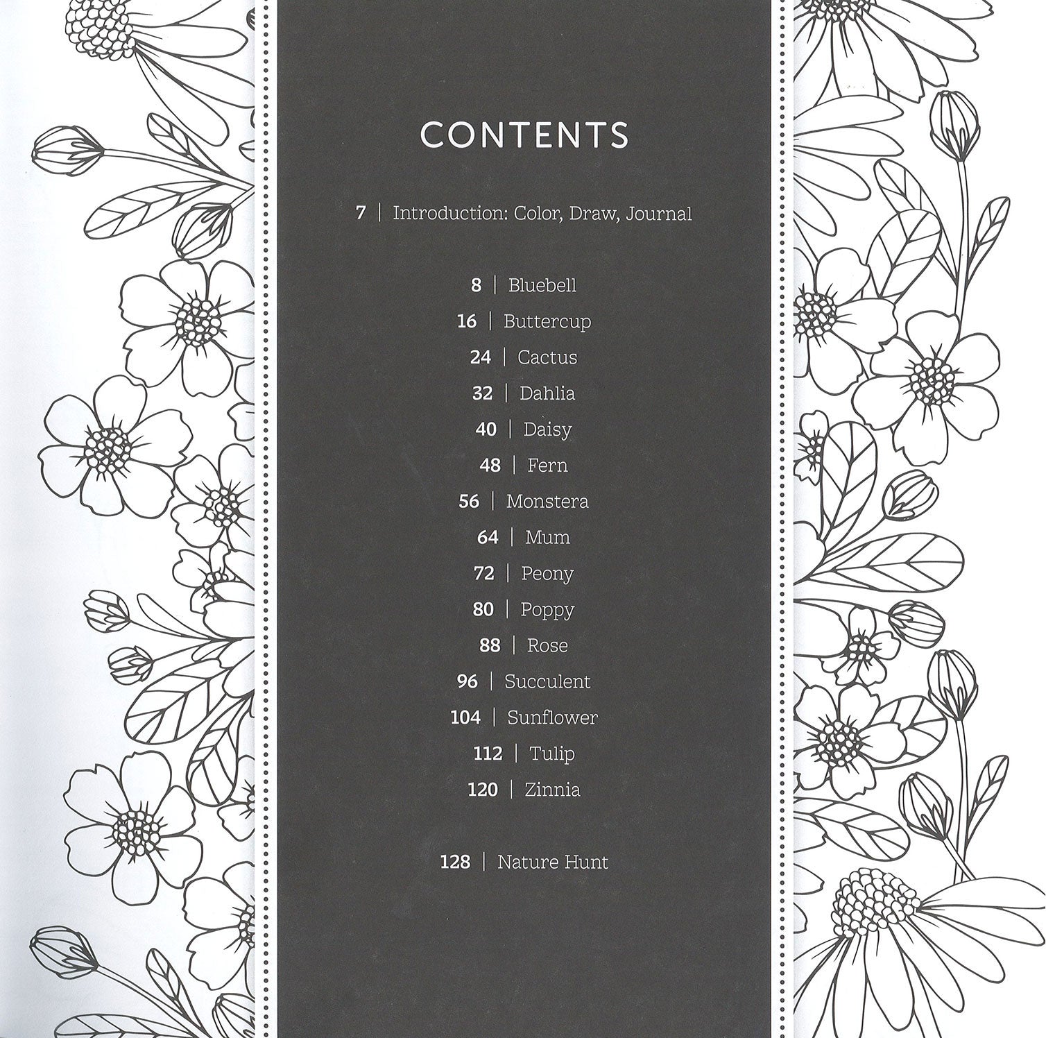 The Colors of Nature by Leisure Arts features a table of contents listing 18 flowers with pages, framed by black-and-white floral borders. White text on a dark, dotted-edge background creates a wild, free charm—ideal as a draw and sketch book.