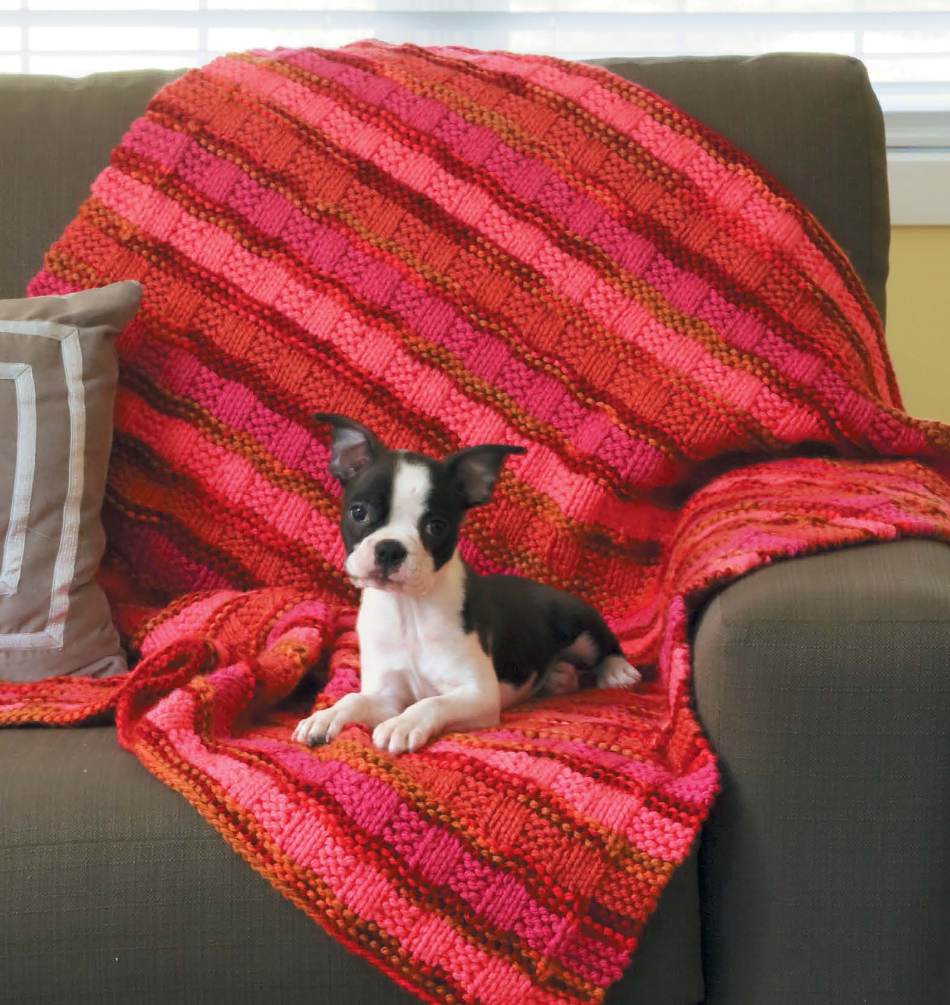 A small black and white puppy lounges on a couch draped with a red and pink blanket made from Leisure Arts’ “Learn to Knit—Easy Step-by-Step How-Tos, Eye-Catching Beginner Projects” digital download. A striped cushion and window blinds are in the background.