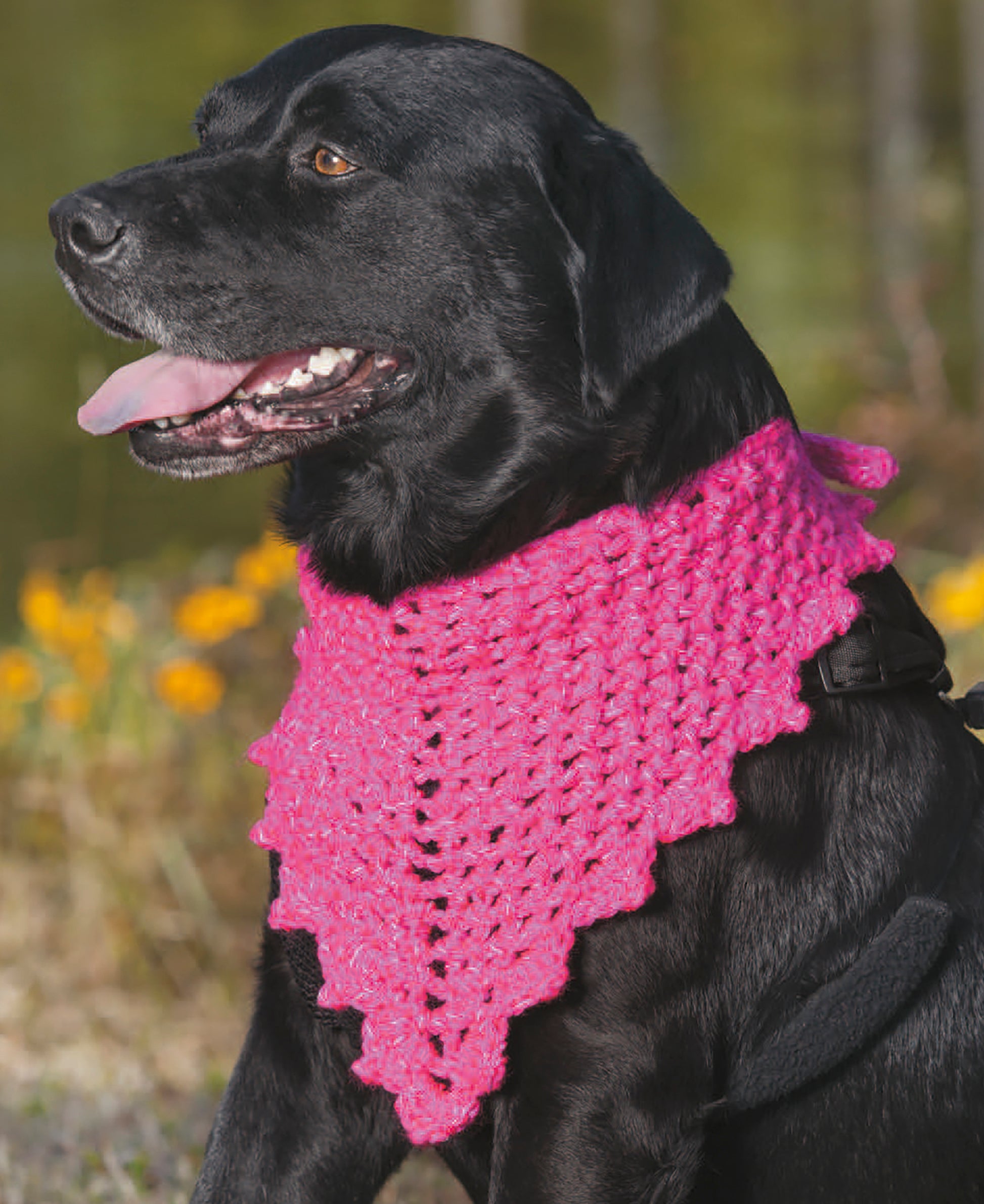 A black Labrador sits outdoors wearing a bright pink, crocheted bandana from Light-Reflecting Fashions by Leisure Arts. Its playful style is perfect for pairing with matching scarves or dog sweaters against a backdrop of blurred yellow flowers and greenery.