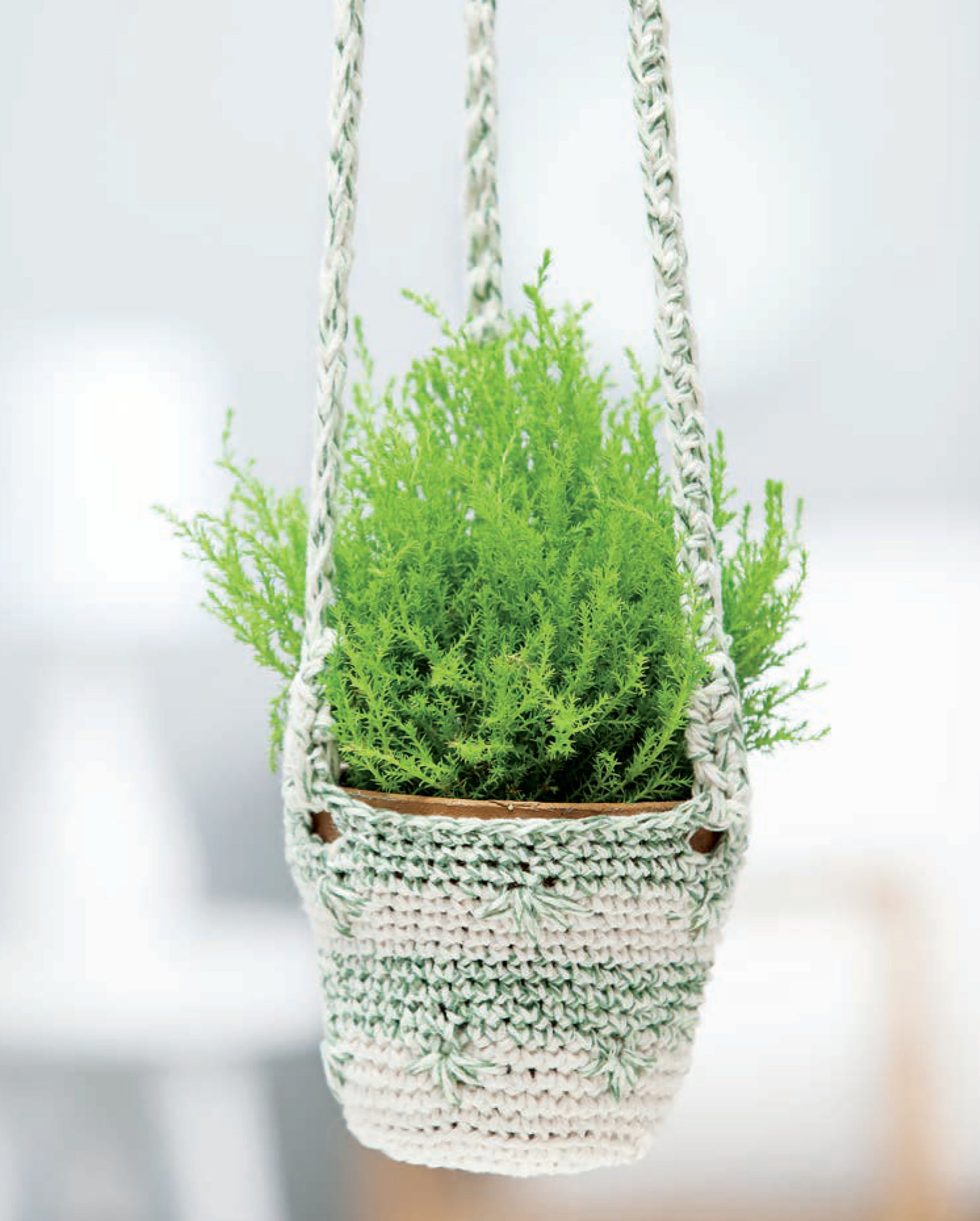 A vibrant green potted plant rests in a brown pot inside the Pretty Little Plant Hangers by Leisure Arts, featuring white and gray crochet with braided handles. The crochet patterns pop against a softly blurred background.