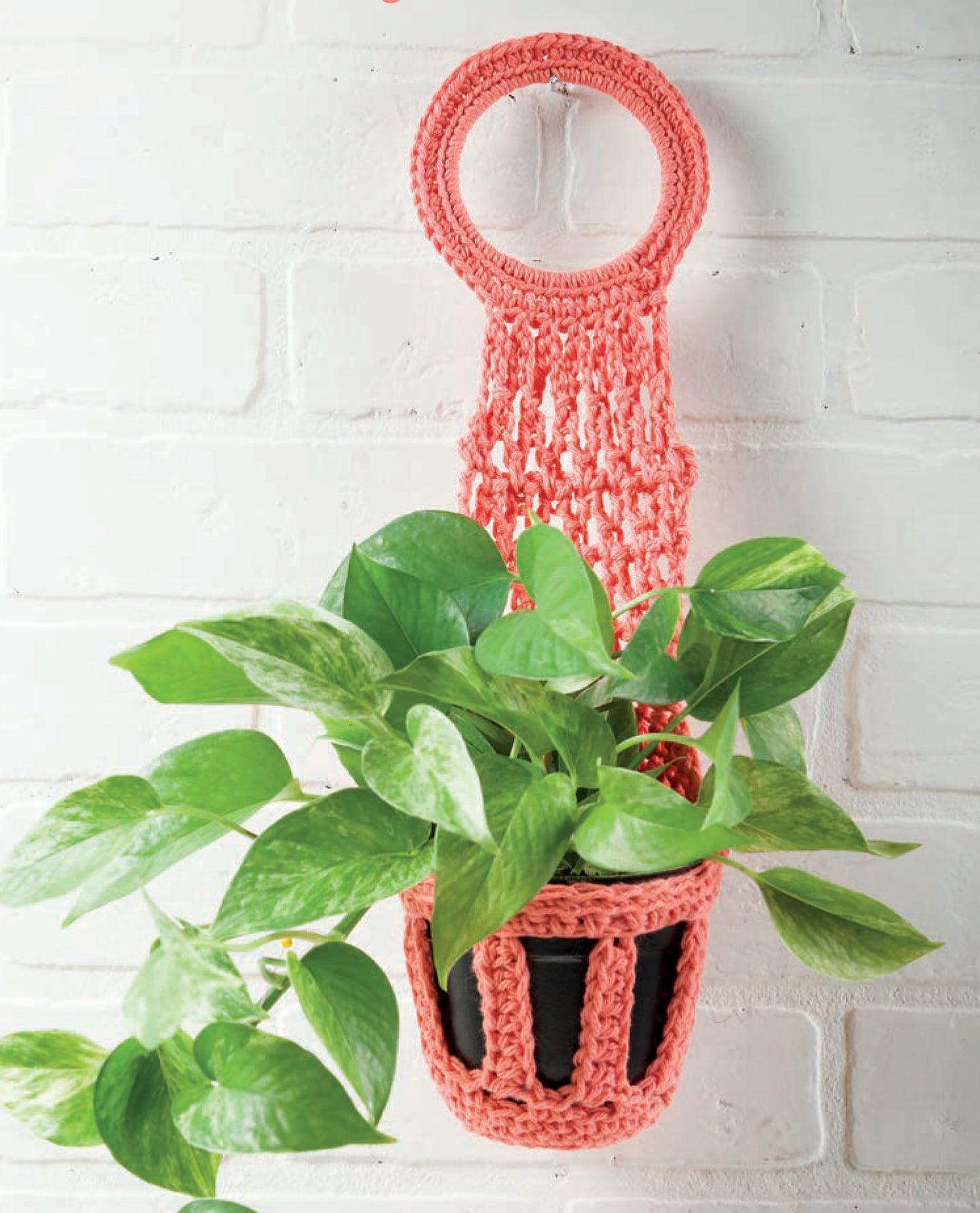 The Pretty Little Plant Hangers from Leisure Arts feature a green potted plant in a black holder, displayed in a pink crocheted hanger with stylish patterns and hung on a white brick wall.