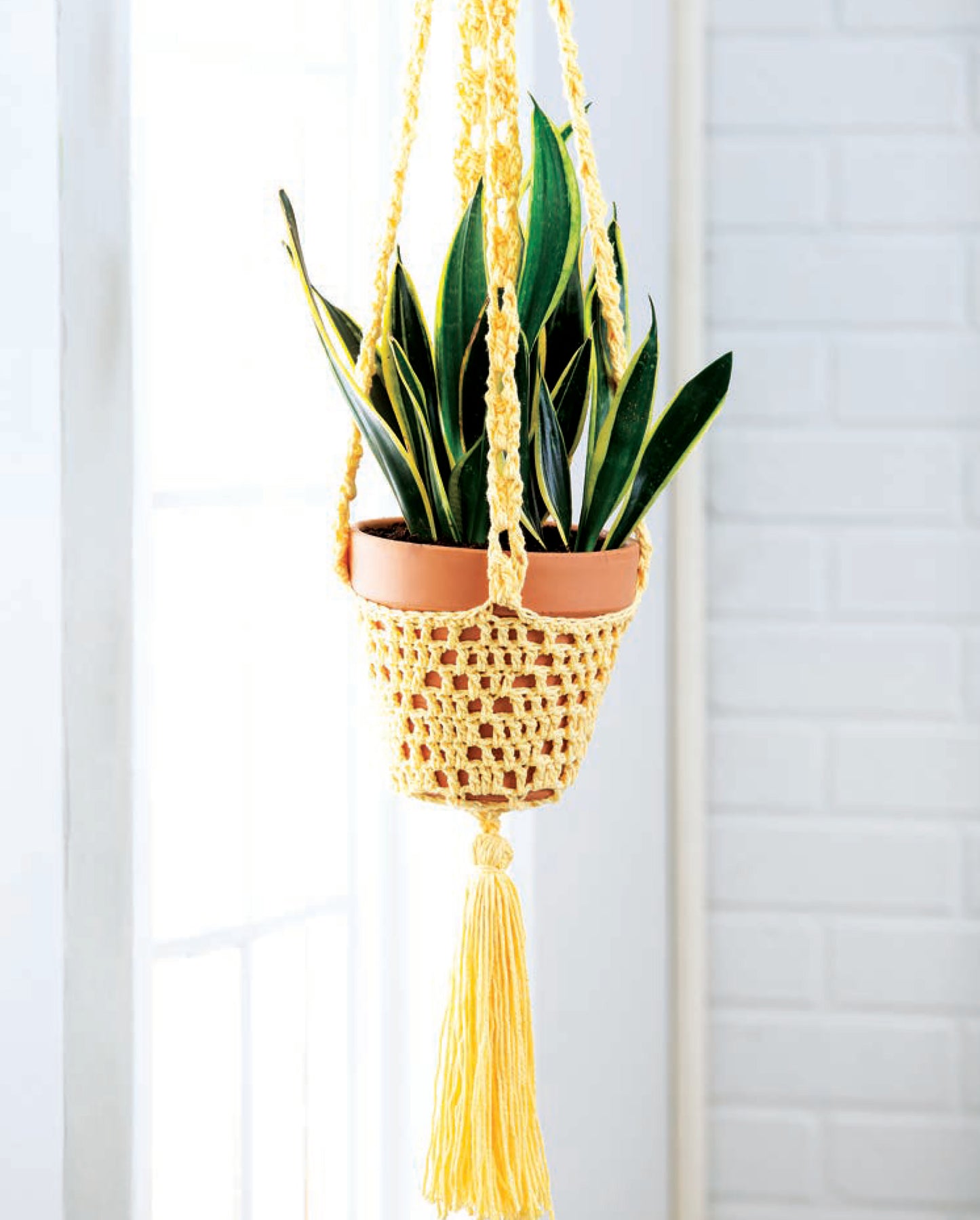 The Pretty Little Plant Hangers by Leisure Arts features a snake plant in a terracotta pot, hanging in a yellow macramé holder with a long tassel, adding charm to potted plants by a bright window and white brick wall.