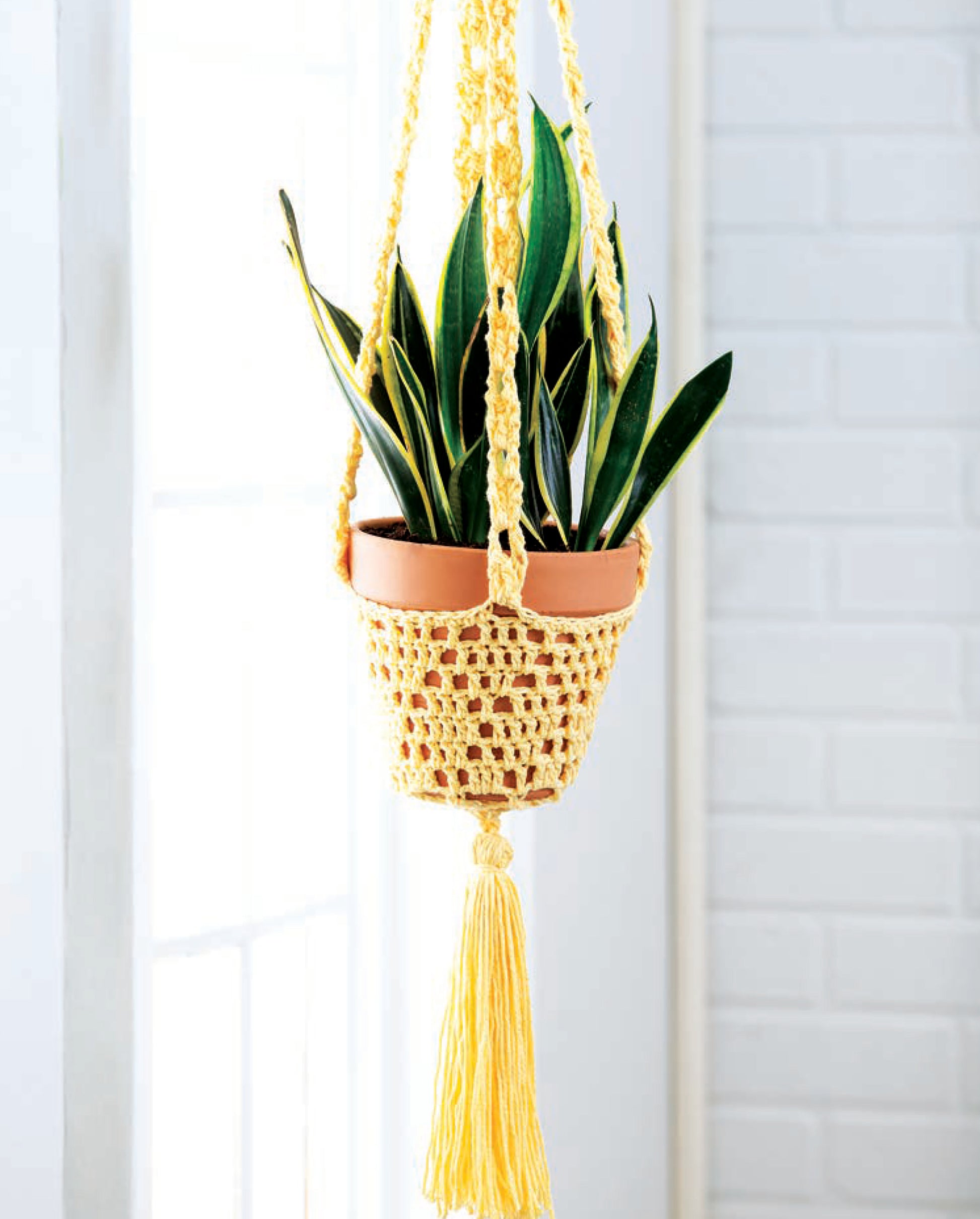 The Pretty Little Plant Hangers by Leisure Arts features a snake plant in a terracotta pot, hanging in a yellow macramé holder with a long tassel, adding charm to potted plants by a bright window and white brick wall.