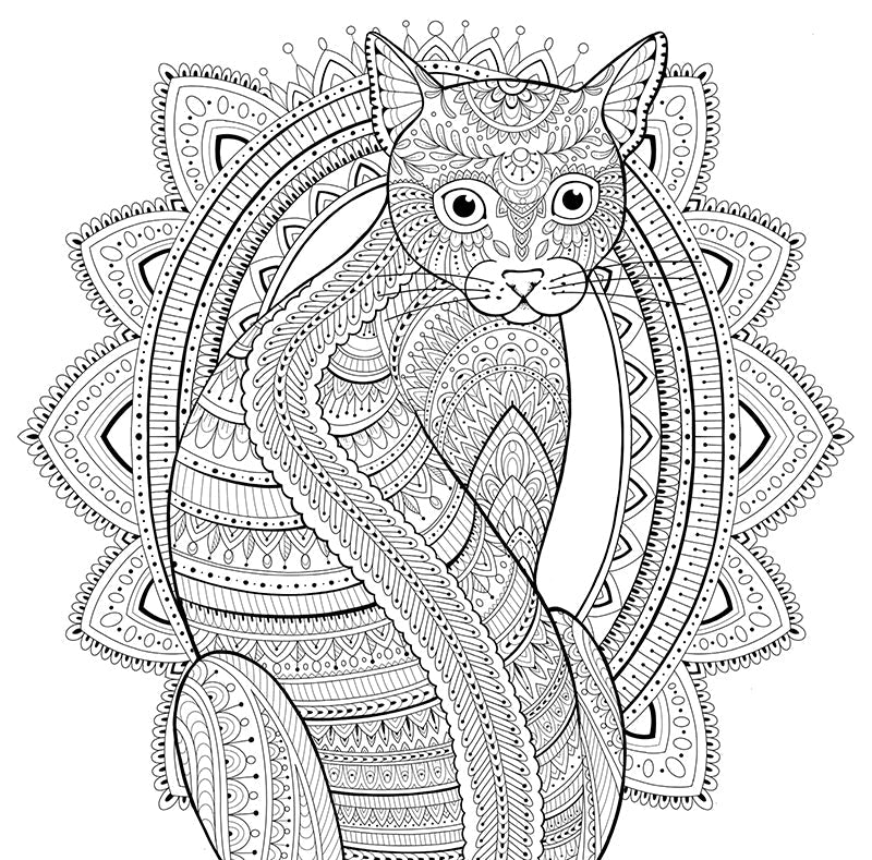 My Cat Mandala Coloring Book