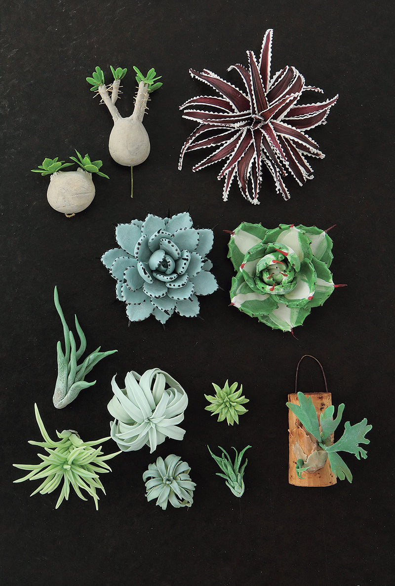 みぃこどん T. Succulent Form × Nizanda＋おまけ Clay Succulent Garden – C&T Publishing